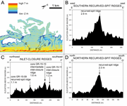 Third thumbnail for: New Perspectives On the Geomorphic, Sedimentologic...