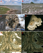 First thumbnail for: A New Approach To Quantify the Ordering State of P...