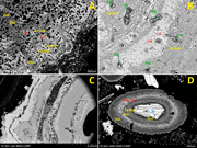 Second thumbnail for: A New Approach To Quantify the Ordering State of P...