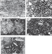 Second thumbnail for: Quantitative Analysis of Volcanic Lithic Fragments