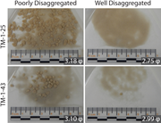 Third thumbnail for: A Methodology For Disaggregation and Textural Anal...