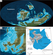 First thumbnail for: Upper Devonian (Frasnian) stromatactis-bearing mud...