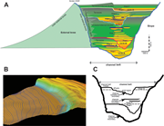 Third thumbnail for: Architecture, process, and environmental diversity...