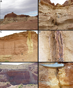 Second thumbnail for: Red-bed bleaching in a CO 2 storage analogue: Insi...