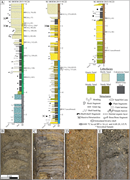 Third thumbnail for: The Quaternary stratigraphic architecture of a low...