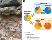 First thumbnail for: Lithological dependence of aragonite preservation ...