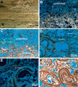 Third thumbnail for: Lithological dependence of aragonite preservation ...