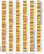 Third thumbnail for: Interpreting pre-vegetation landscape dynamics: Th...