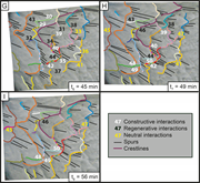 Third thumbnail for: Pattern evolution and interactions in subaqueous d...