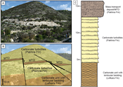 Second thumbnail for: Lenticular-bedding-like bioturbation and the onsho...