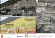 Third thumbnail for: Lenticular-bedding-like bioturbation and the onsho...