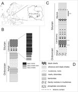 First thumbnail for: Entrapment and transformation of post-bloom radiol...