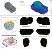 Third thumbnail for: Quantification of the morphology of gold grains in...