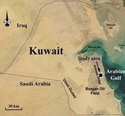 First thumbnail for: Characterization of chert in the Dammam Formation ...