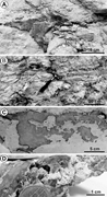 Third thumbnail for: Characterization of chert in the Dammam Formation ...