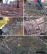 Second thumbnail for: Paleoenvironmental significance of microbial mat-r...