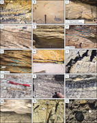 Third thumbnail for: Tidal estuarine deposits of the transgressive Natu...
