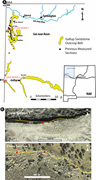 Third thumbnail for: Classification of paralic channel sub-environments...