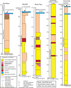 Second thumbnail for: Hierarchical scales of soft-sediment deformation i...