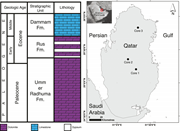 First thumbnail for: Multi-episodic recrystallization and isotopic rese...