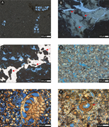 Third thumbnail for: Multi-episodic recrystallization and isotopic rese...
