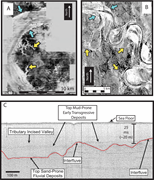 Second thumbnail for: Facies architecture and time stratigraphic relatio...
