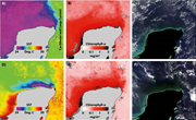 Third thumbnail for: Hydrodynamic influences on sedimentology and geomo...