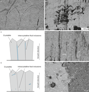 Second thumbnail for: Fluid-inclusion petrography in calcite stalagmites...
