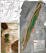 First thumbnail for: Composite microbialites: Thrombolite, dendrolite, ...