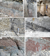 Third thumbnail for: Absence of evidence of climate-driven cycles in Ca...