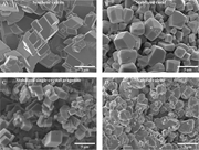 Second thumbnail for: Evolution of calcite microcrystal morphology durin...