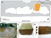 Second thumbnail for: Lipid composition of the microbial mat from a hype...