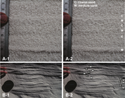 Third thumbnail for: Controls of aeolian dune height on cross-strata ar...