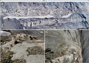 Third thumbnail for: Laterally accreting sinuous channels and their dep...