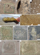 Third thumbnail for: Role of microbial mats and high sedimentation rate...