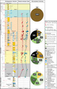Third thumbnail for: Depositional system and lake-stage control on micr...