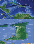 Third thumbnail for: The qualitative and quantitative classification of...