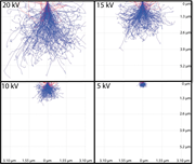 Second thumbnail for: Mg zonation and heterogeneity in low-Mg calcite mi...