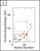 Third thumbnail for: Mg zonation and heterogeneity in low-Mg calcite mi...
