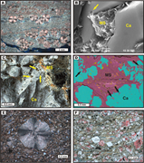 Third thumbnail for: Paleoenvironmental insights from the deposition an...