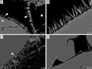 Second thumbnail for: How do grain coats prevent formation of quartz ove...