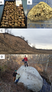 Third thumbnail for: Provenance of middle to late Pleistocene tills in ...