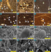 Third thumbnail for: Fine-grained distal deposits of a mixed siliciclas...