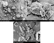 Second thumbnail for: Analysis of common pre-treatments in grain-size an...