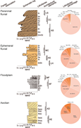 Third thumbnail for: A quantitative depositional model of a large distr...