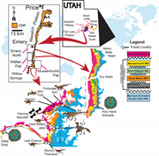 First thumbnail for: Paralic sedimentology of the Mussentuchit Member c...