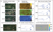 Second thumbnail for: Quantifying river avulsion activity from satellite...