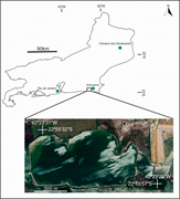 First thumbnail for: Sedimentological and geochemical characterization ...