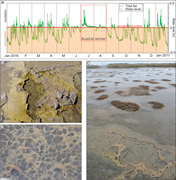 Third thumbnail for: Microbial-mat colonization of modern gravel deposi...