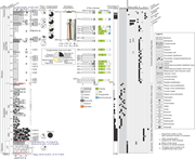 Third thumbnail for: Oligocene–late Miocene basin evolution in the Yeng...